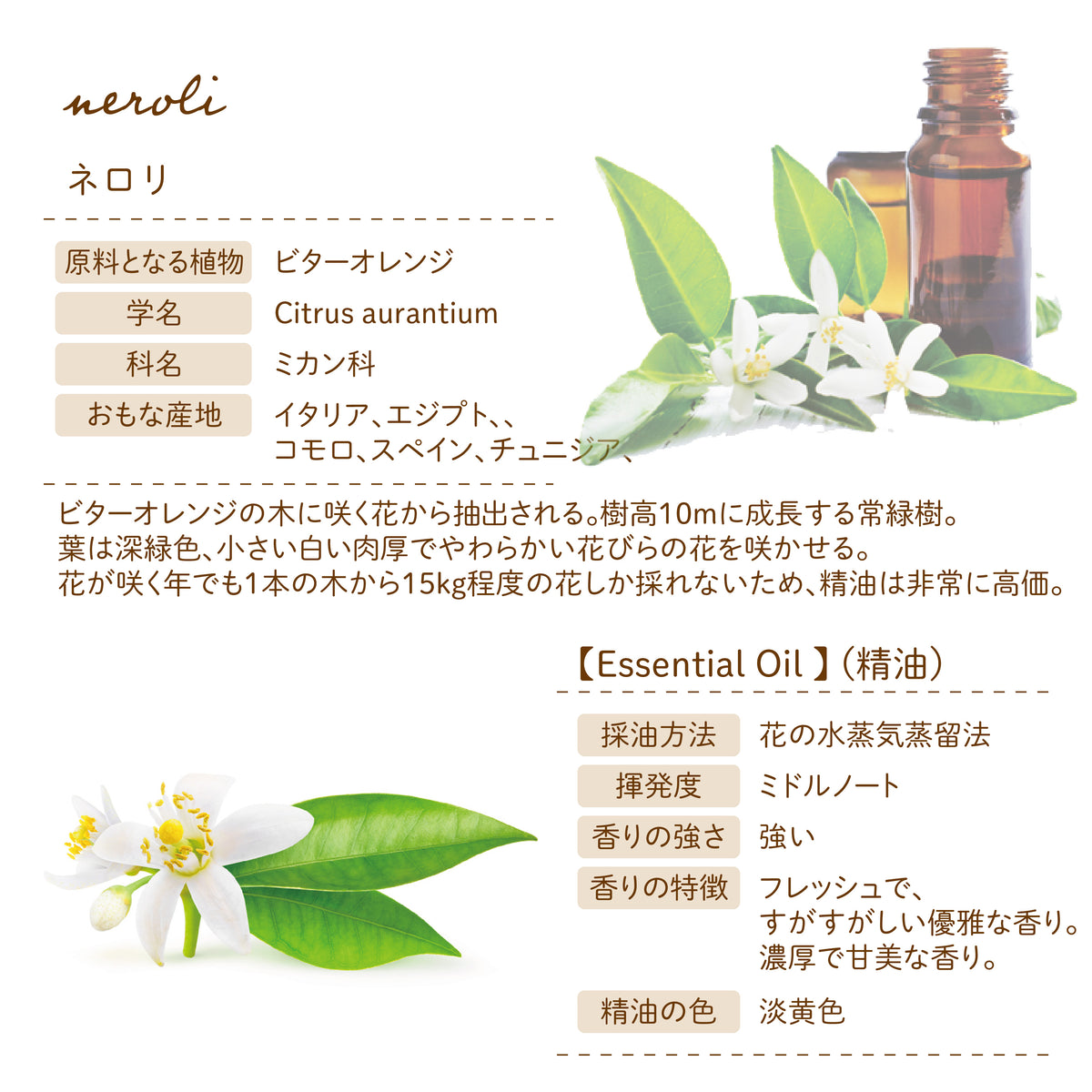 Botanical lab アロマエッセンシャルオイル ネロリ10ml セラピー