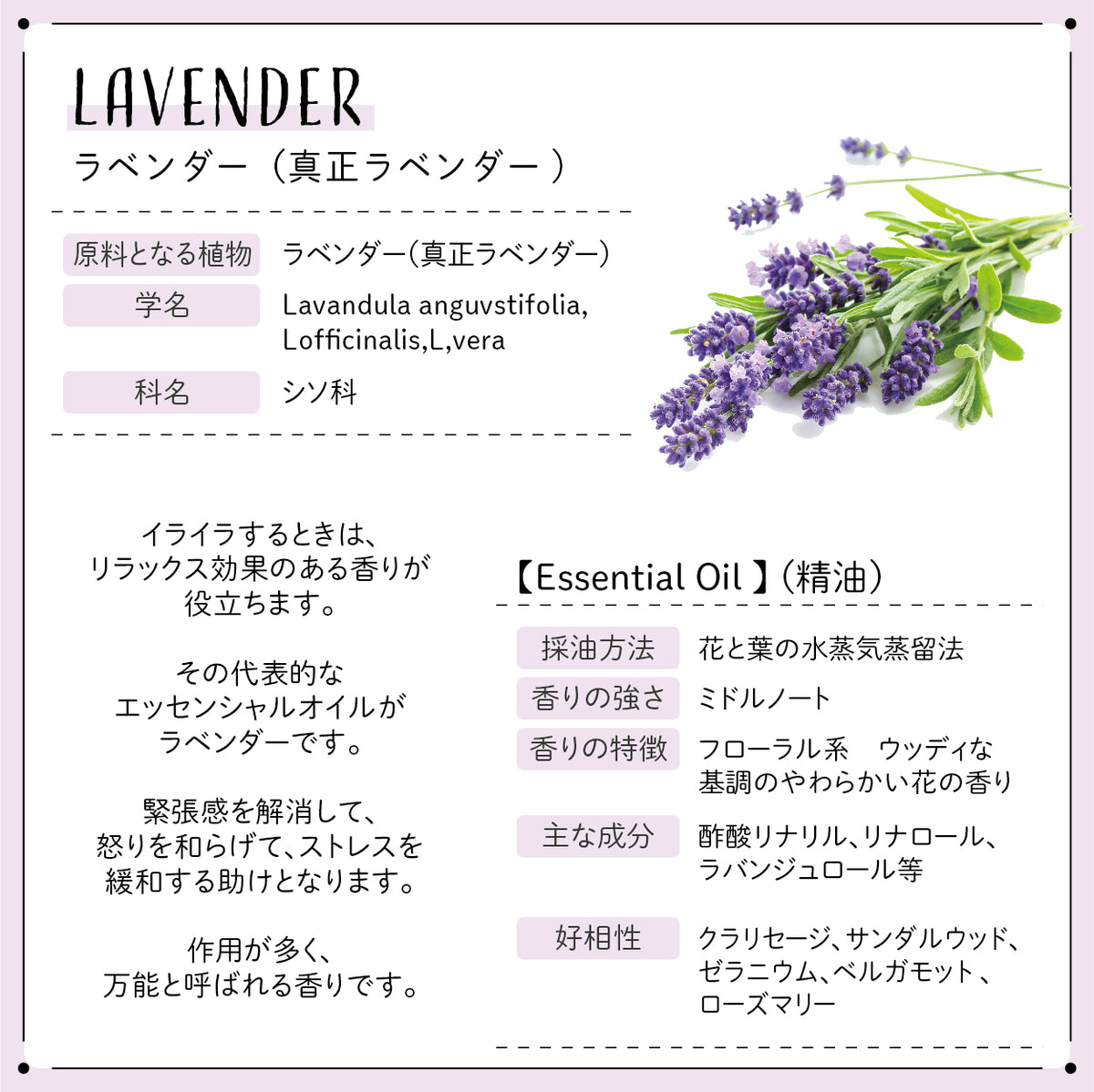 Botanical labエッセンシャルオイル アロマオイル バイタリティ