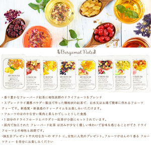 ドライフルーツティー 【アプリコット&マンゴー】 パウダリー紅茶 食べれるダイスカットドライフルーツ10g×5パックセット 国内製造 プチギフト プレゼントにも Botanical lab ドライアプリコット  ドライパパイヤ ドライマンゴー ドライアップル  アールグレーティー