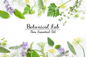 ボタニカルラボページ Botanical labo