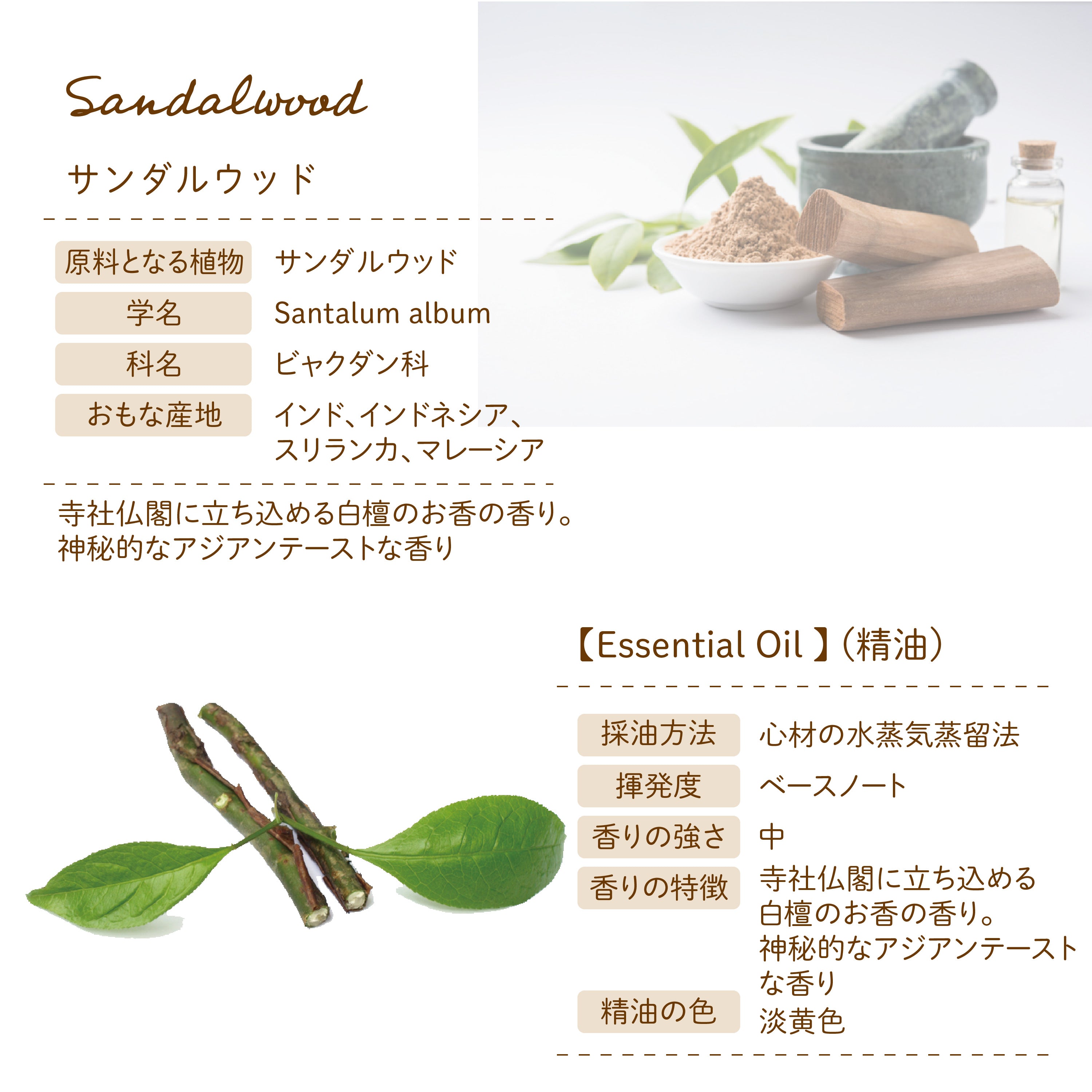 Botanical lab アロマエッセンシャル サンダルウッド 10ml セラピーグレード アロマテラピー