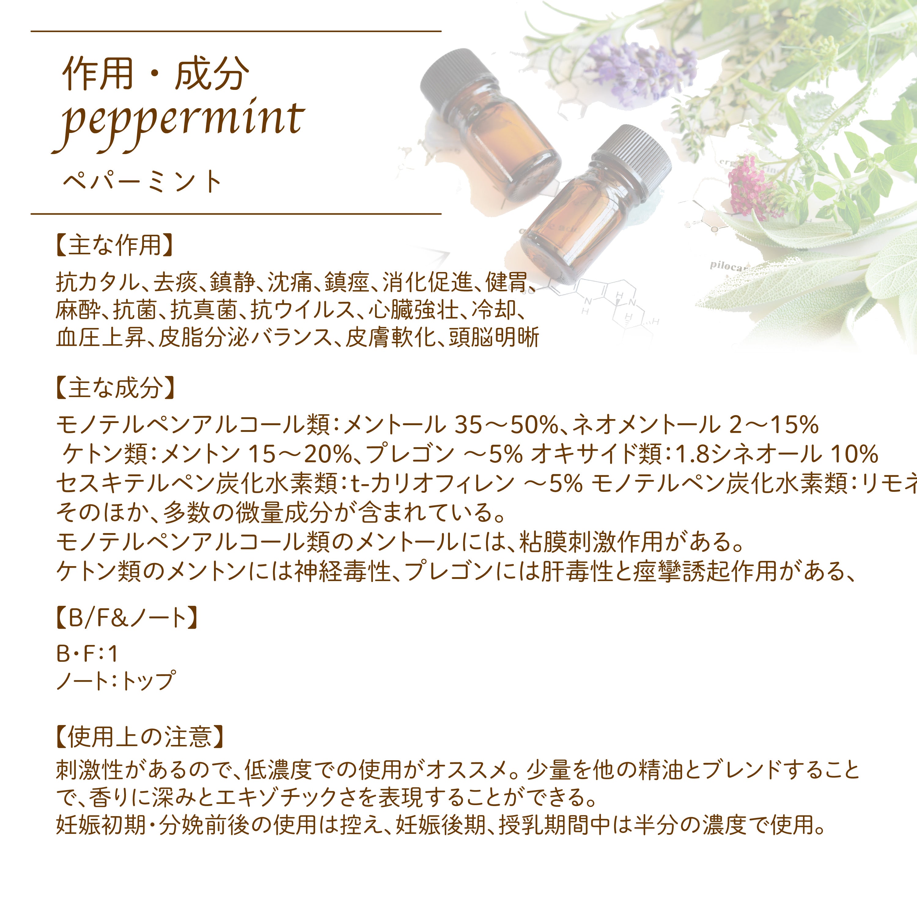 Botanical lab アロマエッセンシャルオイル ペパーミント10ml セラピーグレード  アロマテラピー