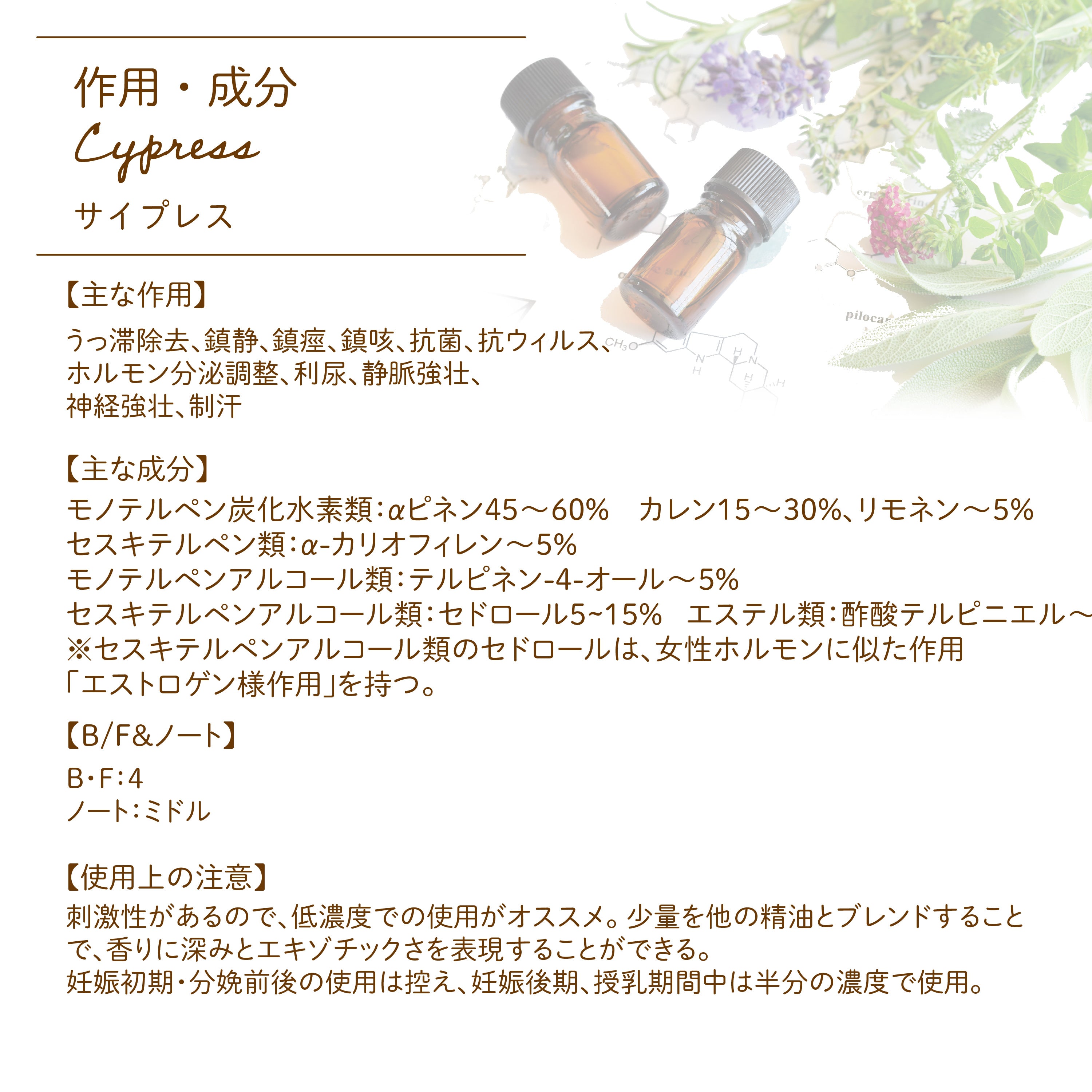 Botaical lab アロマエッセンシャルオイル サイプレス 10ml セラピーグレード  アロマテラピー