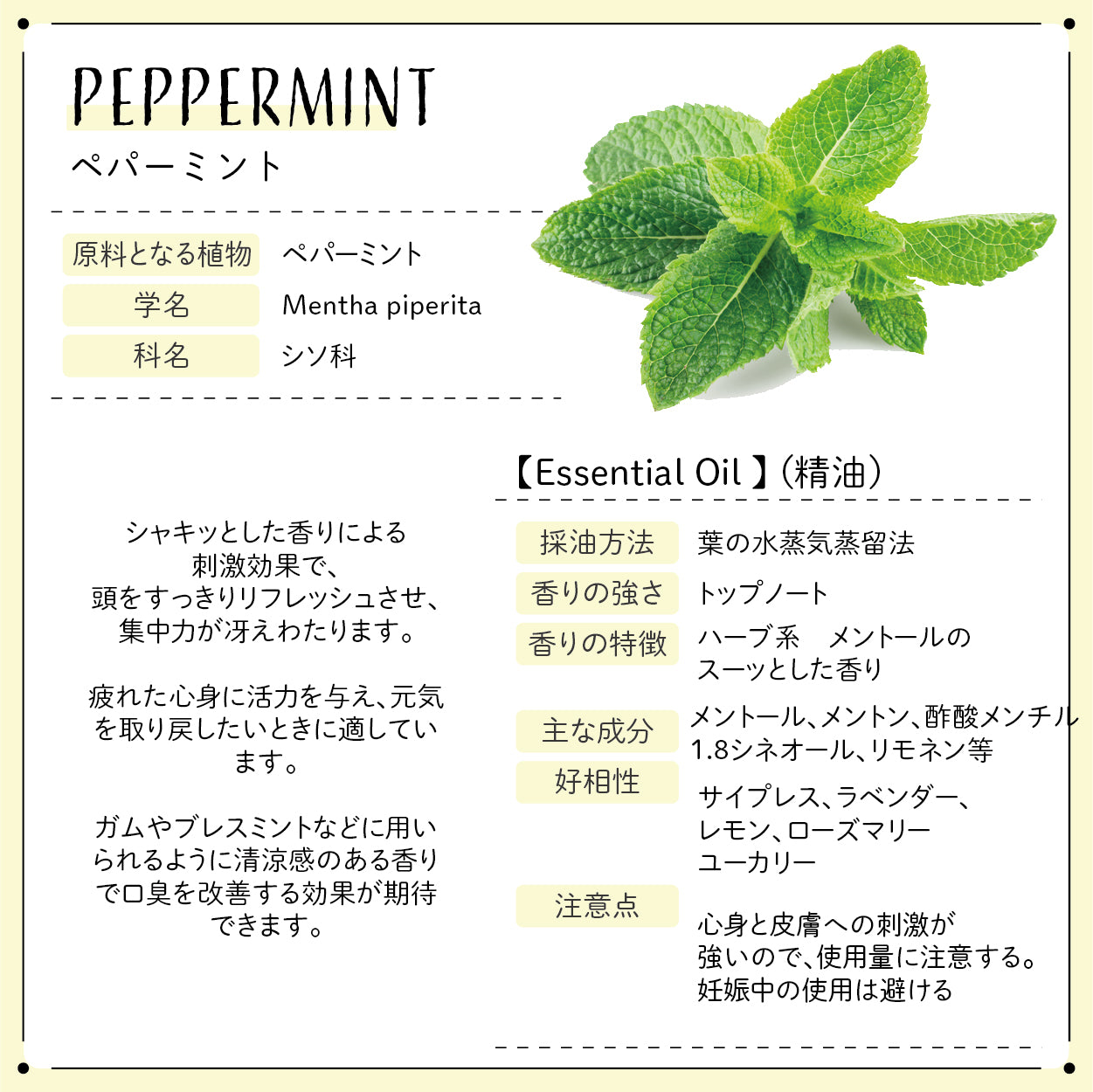 Botanical labエッセンシャルオイル アロマオイル ウーマンズバランスに！初心者にもオススメ 人気5本セット ベルガモット・ローズゼラニウム・ラベンダー・シダーウッド・ペパーミント各5ml) 精油 ブレンドオイル