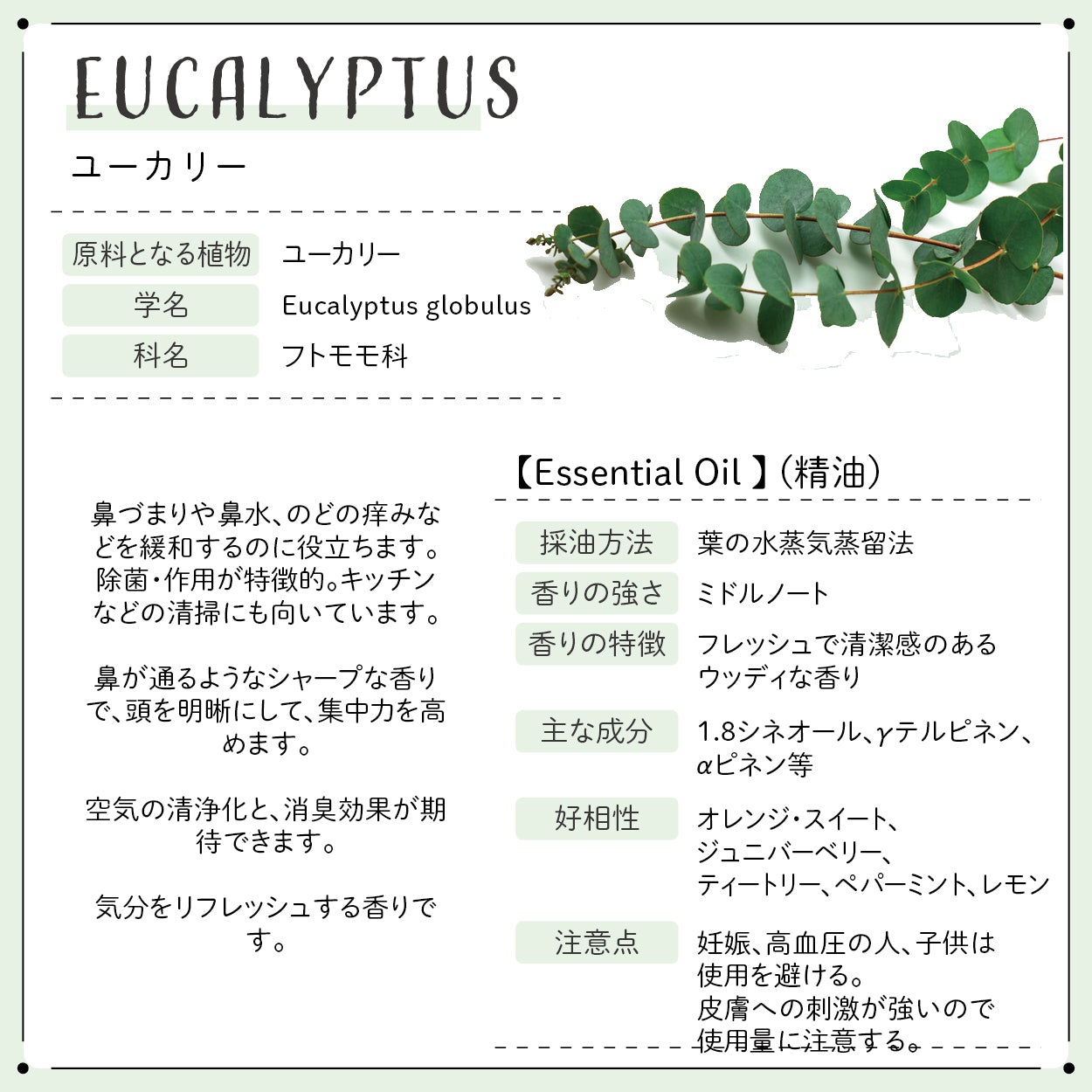 Botanical labエッセンシャルオイル アロマオイル 集中力・記憶力に