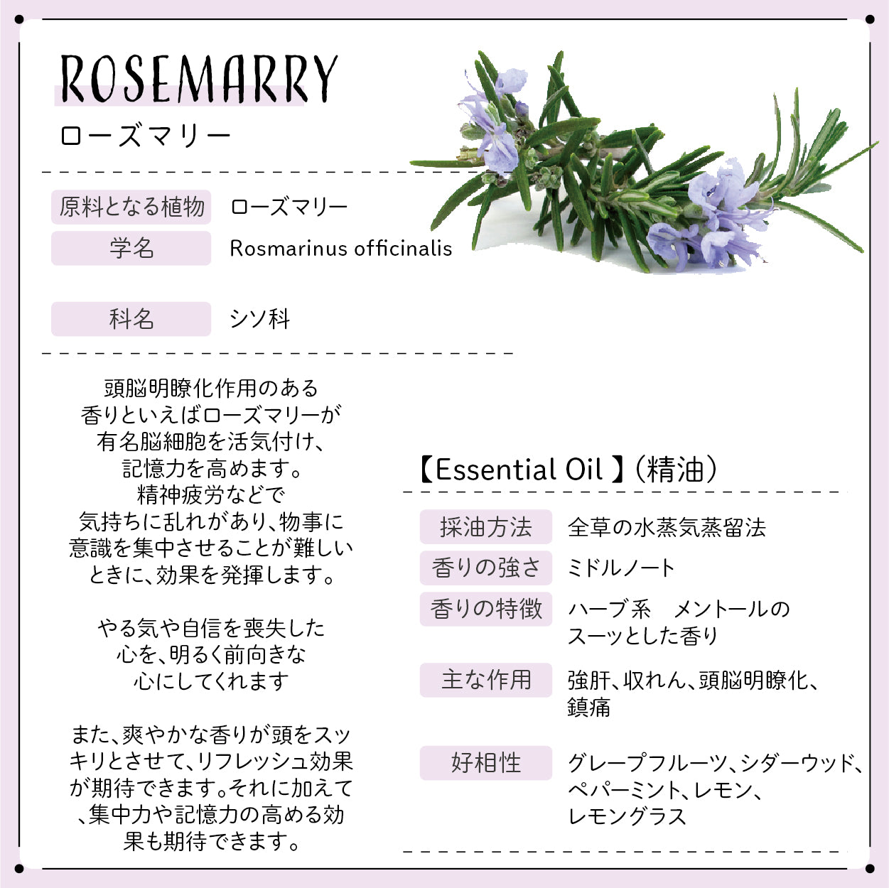 Botanical lab アロマオイル セラピーグレード 3本セット “ウーマンズ