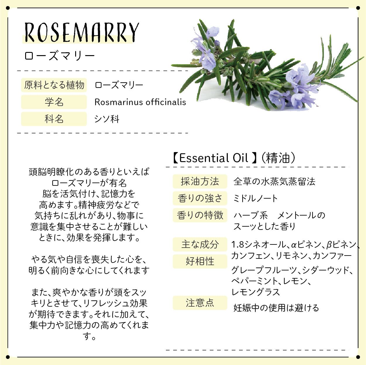 Botanical labエッセンシャルオイル アロマオイル 集中力・記憶力に