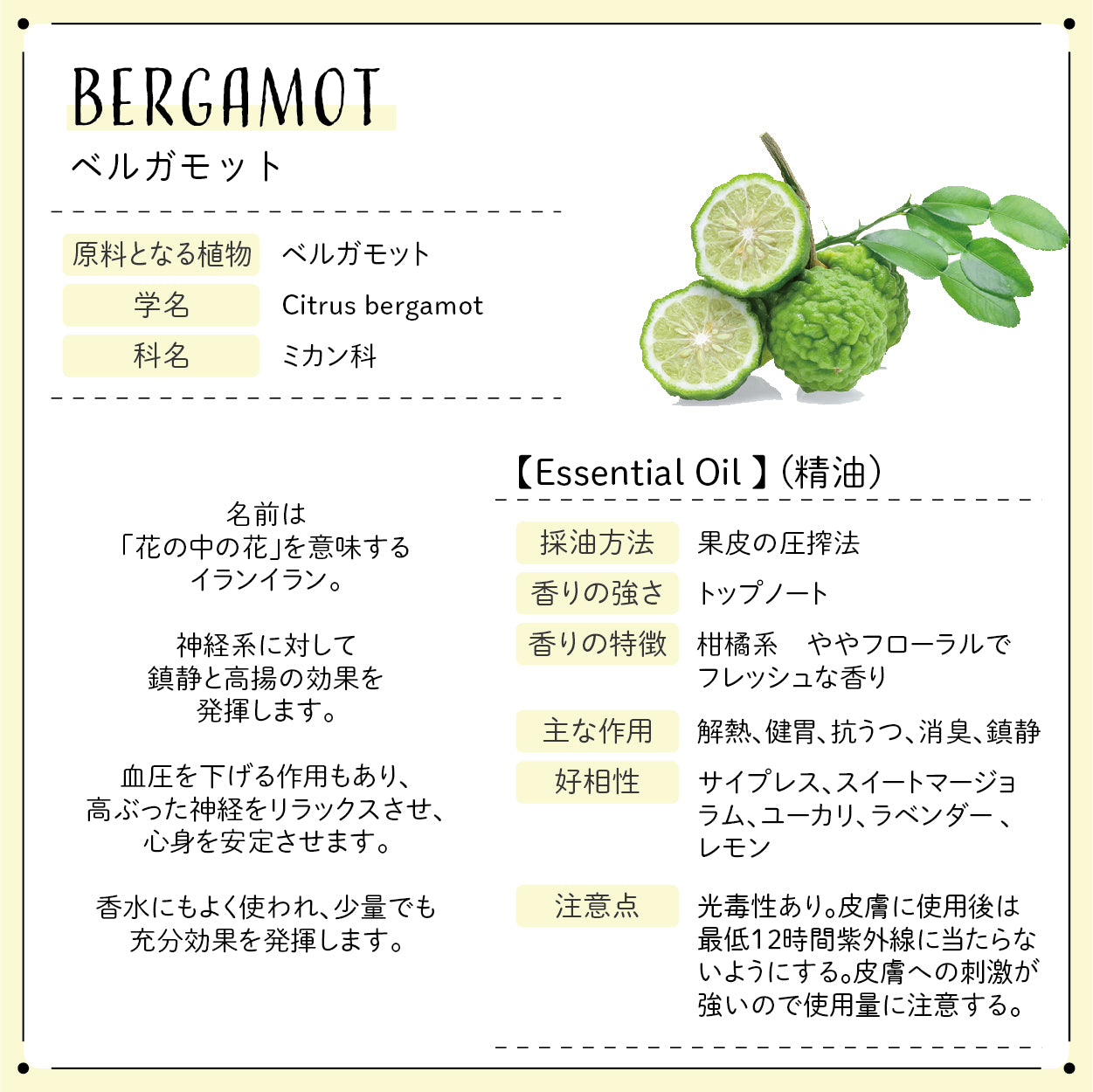 Botanical lab ロールオンアロマ pafume メディテーション＆リフレッシュ＆ナイトタイム3本バリューセット