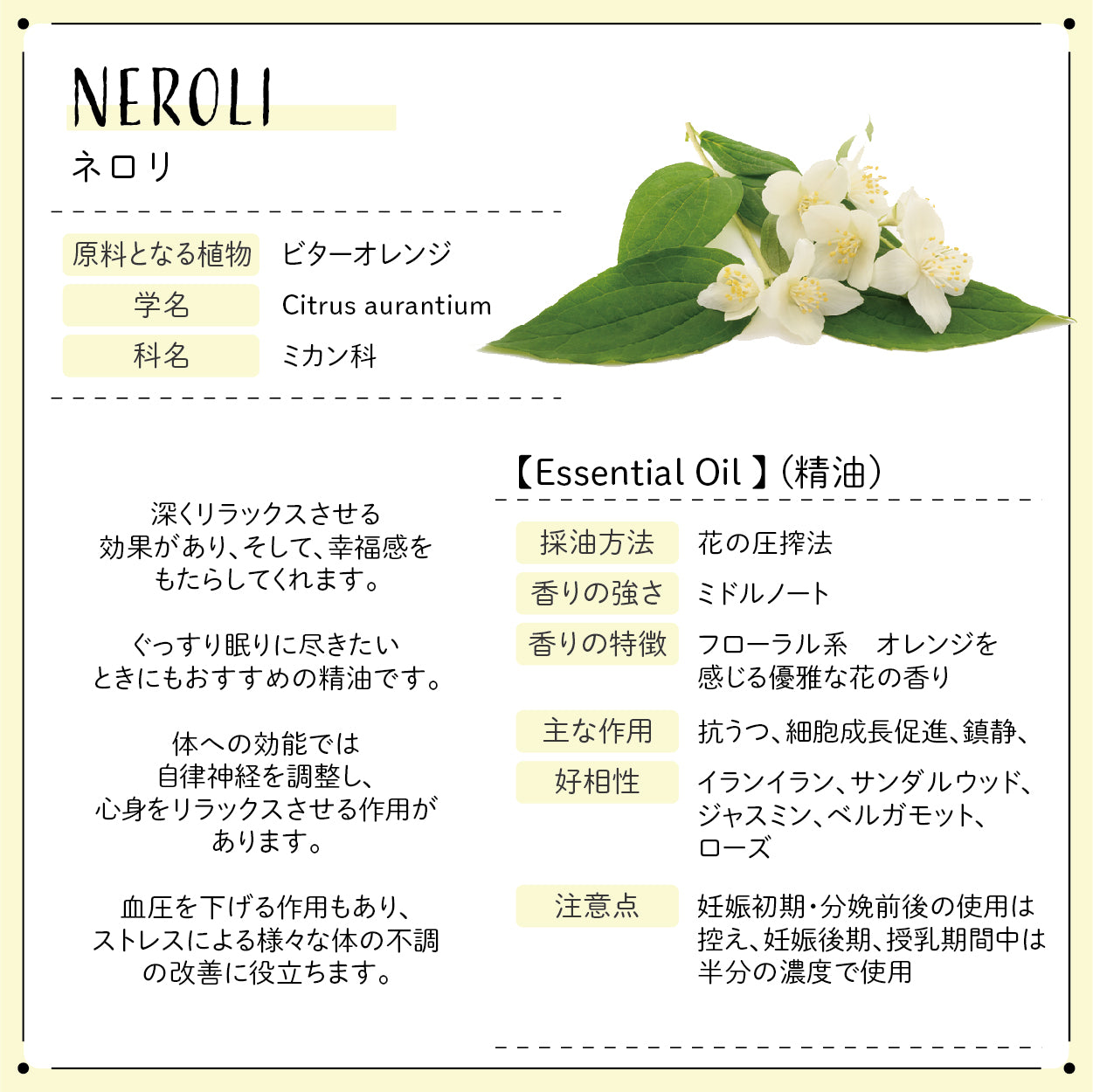 Botanical lab ロールオンアロマ pafume メディテーション＆リフレッシュ＆ナイトタイム3本バリューセット