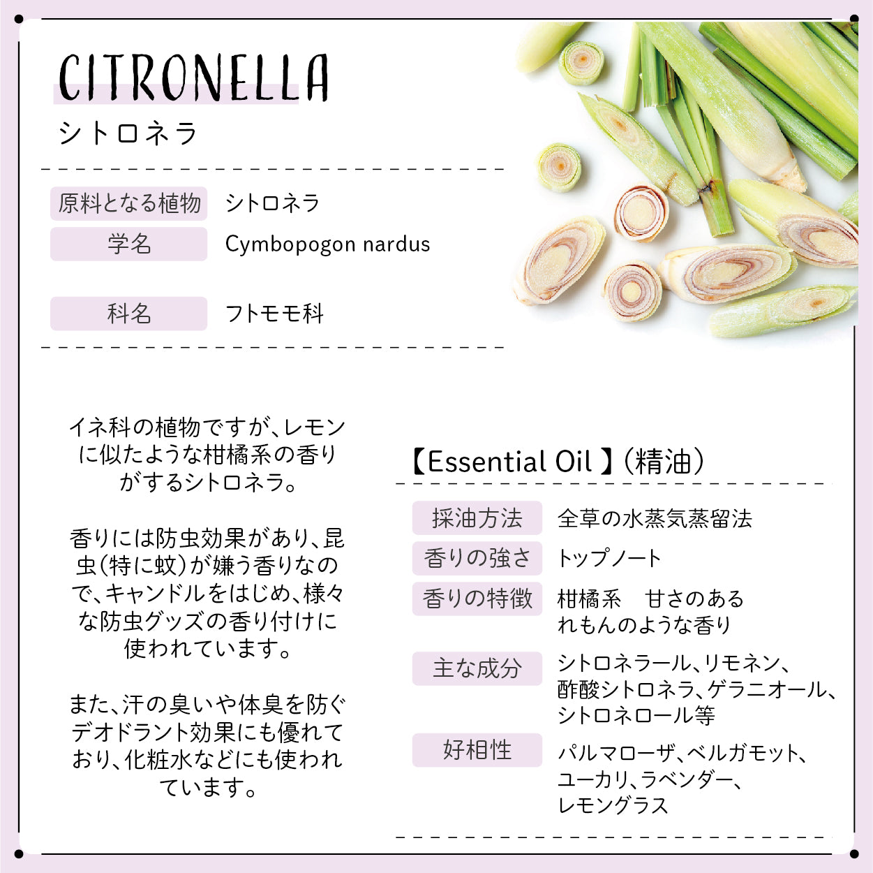 Botanical labエッセンシャルオイル アロマオイル 除菌・消臭に！初心者にもオススメ 人気5本セット ユーカリー・ペパーミント・ティトゥリー・レモングラス・シトロネラ  各5ml) 精油 ブレンドオイル