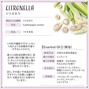 Botanical labエッセンシャルオイル アロマオイル 除菌・消臭に！初心者にもオススメ 人気5本セット ユーカリー・ペパーミント・ティトゥリー・レモングラス・シトロネラ  各5ml) 精油 ブレンドオイル