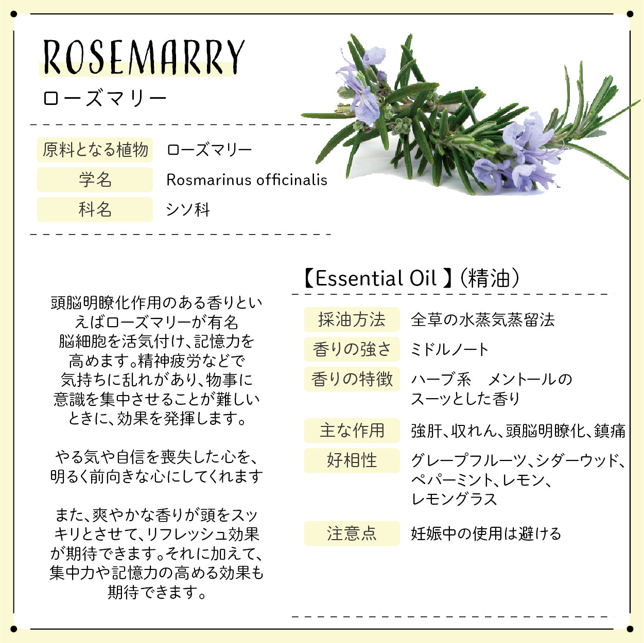 Botanical lab ロールオンアロマ pafume リラクゼーション＆トラベル ＆リフレッシュ3本バリューセット