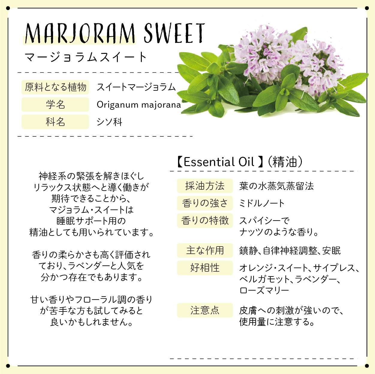 Botanical lab ロールオンアロマ pafume メディテーション＆リフレッシュ＆ナイトタイム3本バリューセット